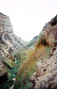 Whale Chine - Geograph.org.uk - 5538263