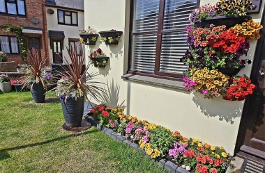 Garden7