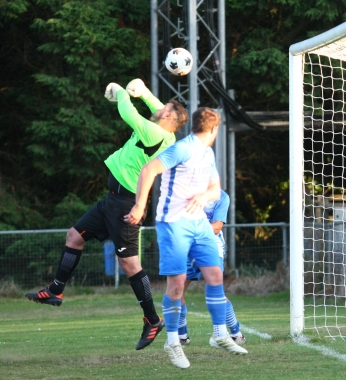 Brading V West Wight (portrait)
