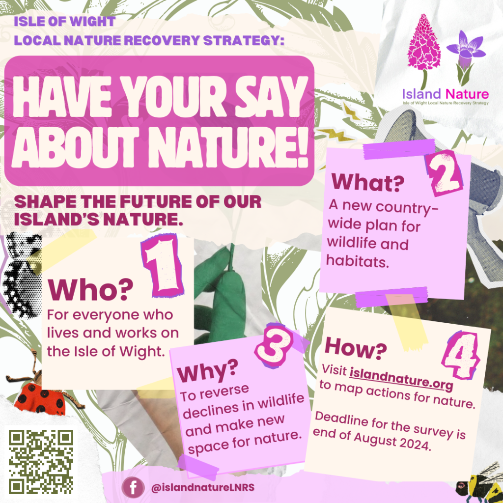Lnrs Poster