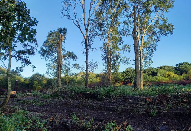 ALVERSTONE RESIDENTS EXPRESS CONCERN OVER ‘DEVASTATION’ OF EASTERN YAR BANKS