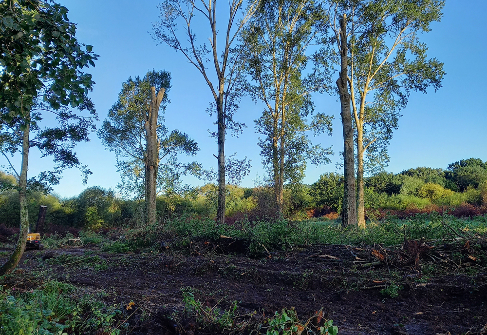 ALVERSTONE RESIDENTS EXPRESS CONCERN OVER ‘DEVASTATION’ OF EASTERN YAR BANKS