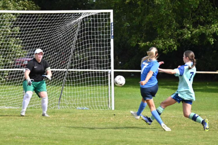 SHANKLIN LADIES BEAT 10-WOMAN BASINGSTOKE AT COUNTY GROUND