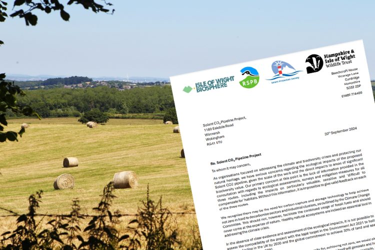 WILDLIFE TRUST, RSPB AND BIOSPHERE EXPRESS ‘SERIOUS CONCERNS’ OVER PIPELINE PROPOSAL