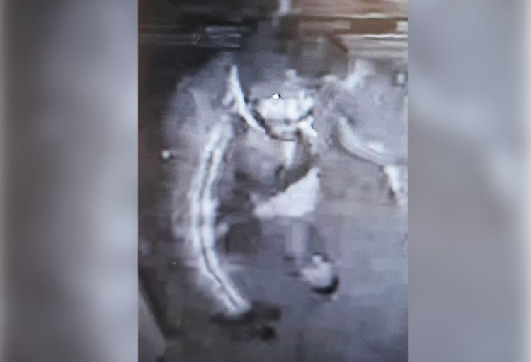 POLICE ASK PUBLIC FOR HELP IN IDENTIFYING MALE INVOLVED IN VENTNOR BURGLARY
