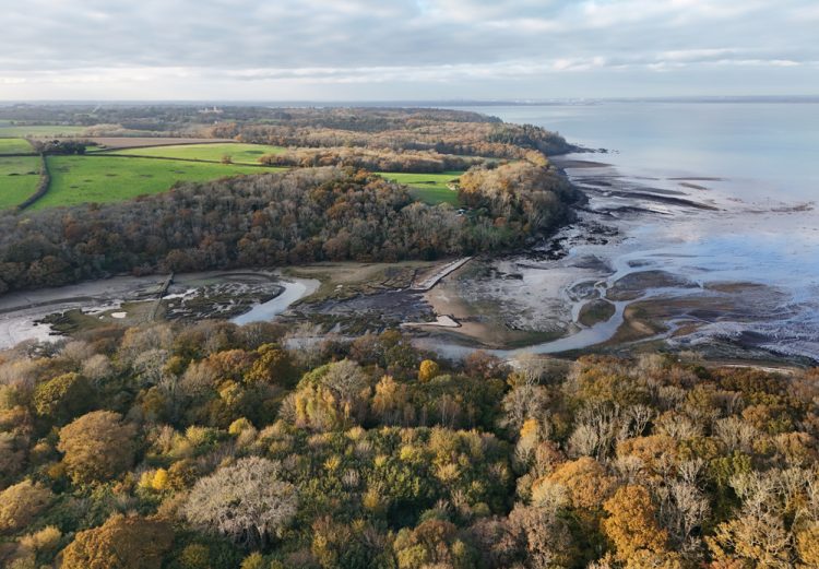 EXCLUSIVE: HUMAN BONE DISCOVERY PROMPTS POLICE SEARCH OF REMOTE QUAY