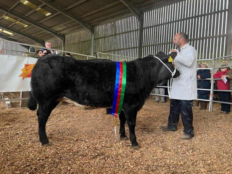 FARMER’S GILTEN MARKET CANCELLED FOR 2024 CONFIRM ORGANISERS