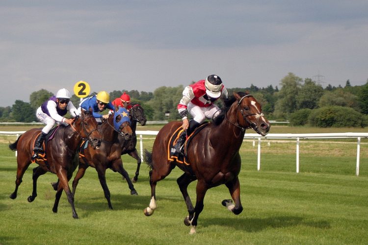 HISTORY AND HERITAGE: EXPLORING THE ISLE OF WIGHT’S HORSE RACING LEGACY