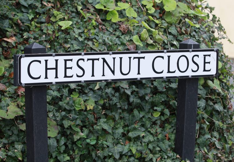 SUSPECTED STOLEN FURNITURE SEIZED BY POLICE DURING SEARCH OF VENTNOR HOME