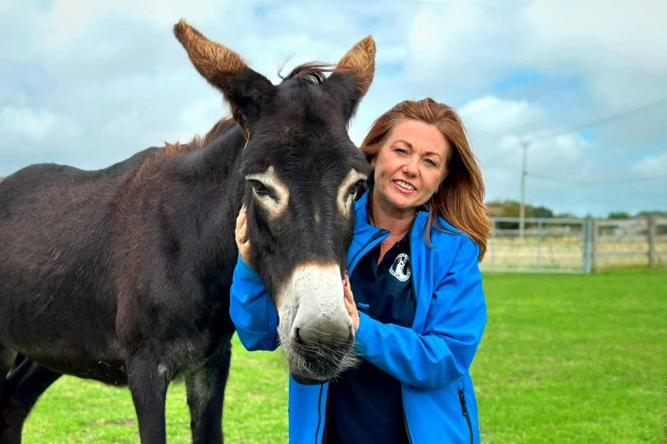 EXCLUSIVE: DONKEY SANCTUARY’S CHIEF EXEC RESIGNS AFTER 18 MONTHS IN POST