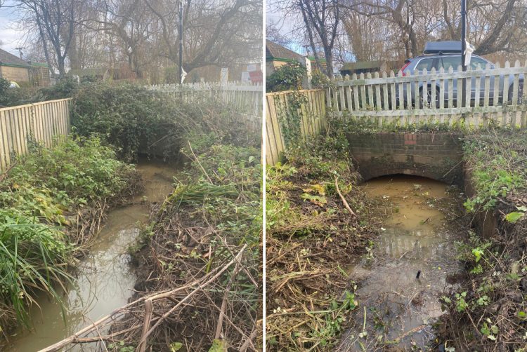 VEGETATION CLEARED ALONG THE RIVER YAR AS WINTER ARRIVES