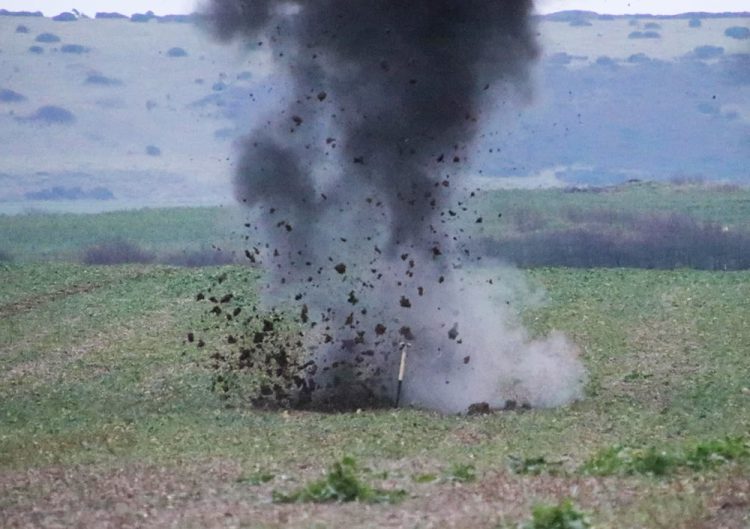 ROYAL NAVY BLOW UP ORDNANCE FOUND IN WEST WIGHT GARDEN
