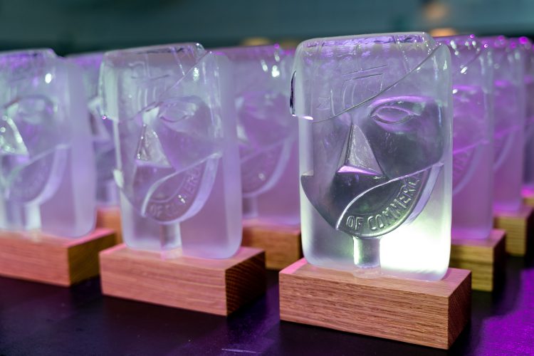 STILL TIME TO SUBMIT YOUR ENTRY FOR IW CHAMBER BUSINESS AWARDS 2025