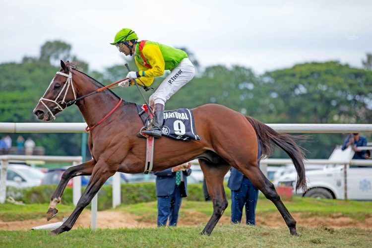 HOW TO SPOT A POTENTIAL WINNER: ANALYZING HORSE AND JOCKEY PERFORMANCE