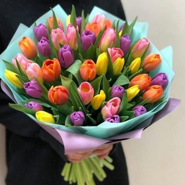 TULIPS: THEIR FESTIVE CHARM IN LONDON’S CELEBRATIONS