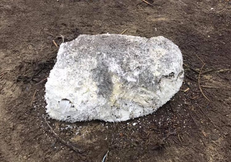 PALM OIL WARNING AS DEPOSITS FOUND ON BEACHES IN THE WEST WIGHT