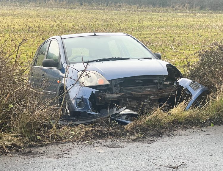 FIESTA CRASHES THROUGH HEDGE ON THE OUTSKIRTS OF RYDE