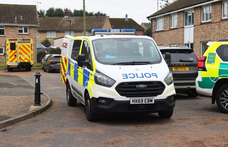 UPDATED: WOMAN RECEIVES MULTIPLE INJURIES IN BRADING ASSAULT – MAN IN CUSTODY
