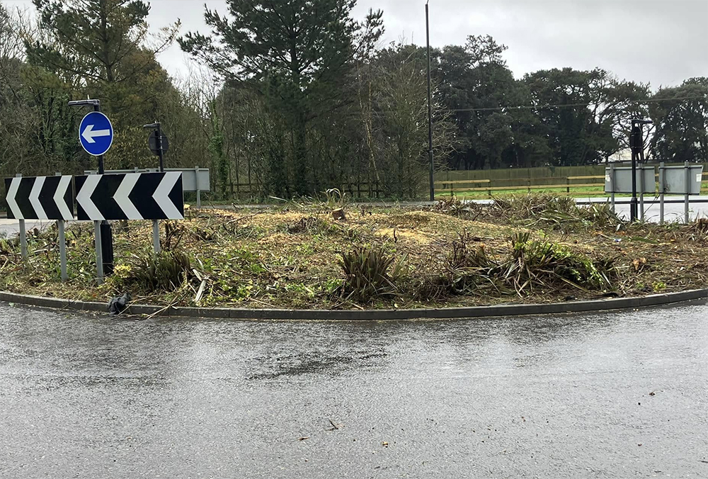REMOVAL OF TREES FROM EAST COWES ROUNDABOUT BRANDED ‘DISGUSTING’ BY TOP COUNCILLOR