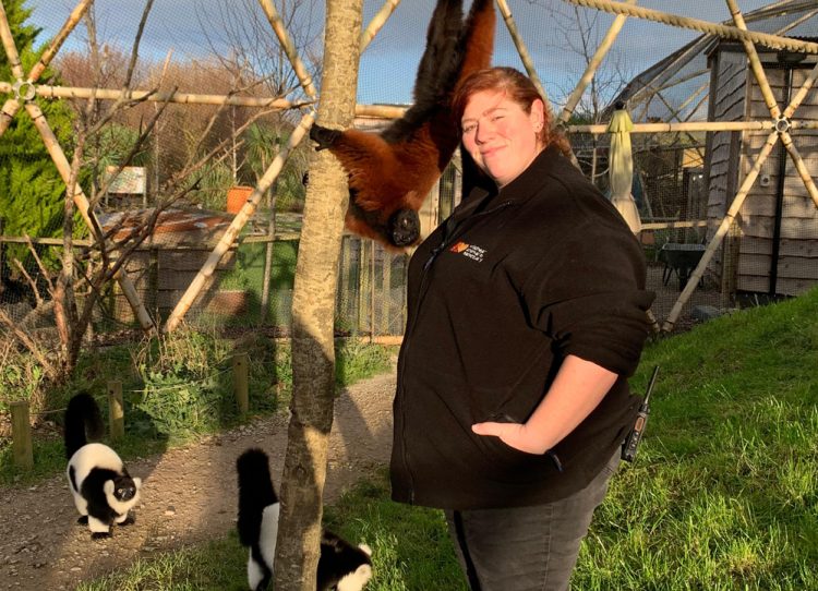 VOTE NOW FOR THE ISLE OF WIGHT’S ZEB IN NATIONAL TOURISM SUPERSTAR COMPETITION