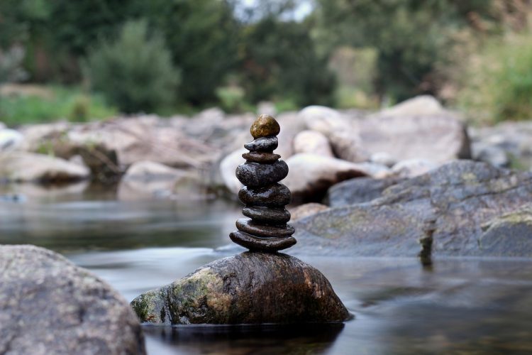 BALANCING ACT: FINDING HARMONG IN A BUSY WORLD