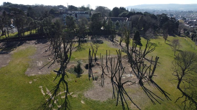 Los Altos Aerial 2025