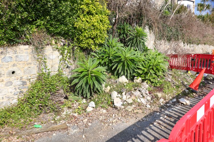 PEOPLE POWER! FED UP RESIDENTS TAKE ACTION TO REOPEN VENTNOR’S BATH ROAD