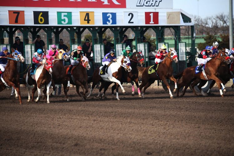 COULD THE ISLE OF WIGHT EVER HOST A MAJOR HORSE RACING EVENT?
