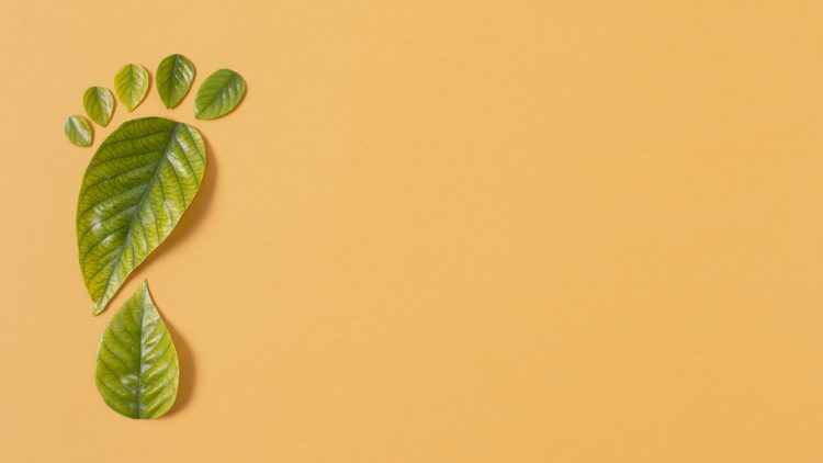 HOW TO REDUCE YOUR CARBON FOOTPRINT WITHOUT CHANGING YOUR ENTIRE LFIESTYLE