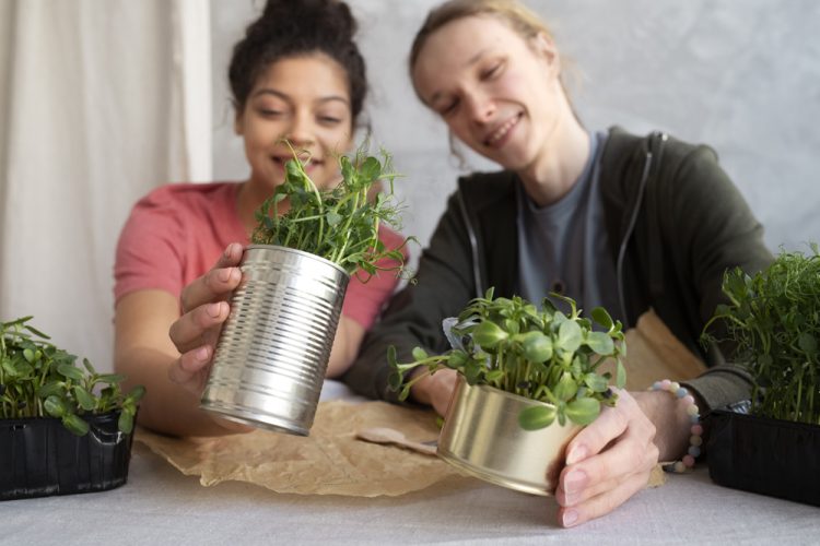 A GUIDE TO SUSTAINABLE LIVING ON THE ISLE OF WIGHT