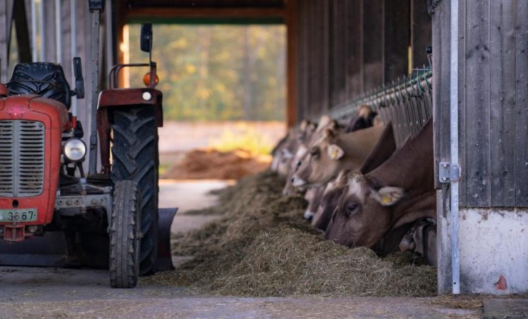 REFUSED BID TO ERECT 2 FARM BARNS IN EAST COWES HAS BEEN APPEALED