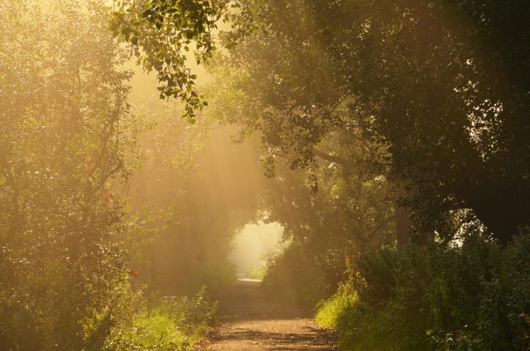NEW WALKS AND HEADLINE SPONSOR ANNOUNCED FOR SPRING WALKING FESTIVAL