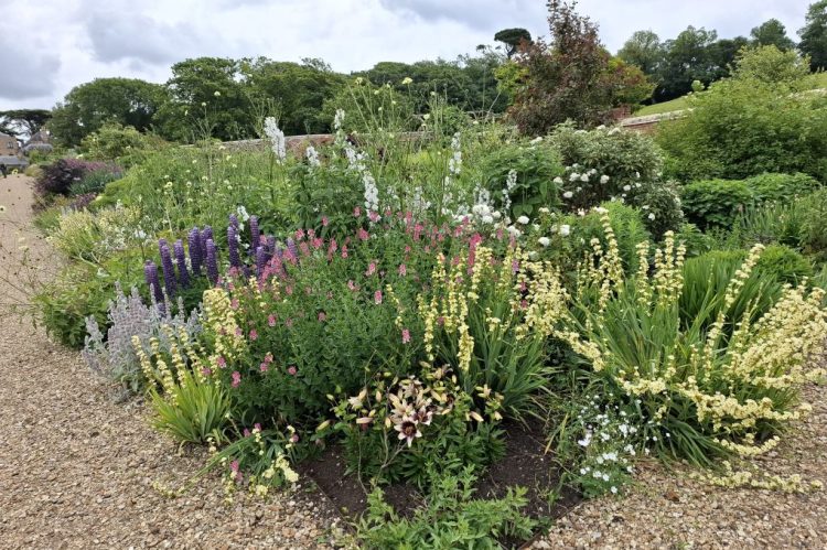WIGHT IN BLOOM ‘ON TRACK’ FOR 2025 WITH NEW THEME AND NEW SPONSOR