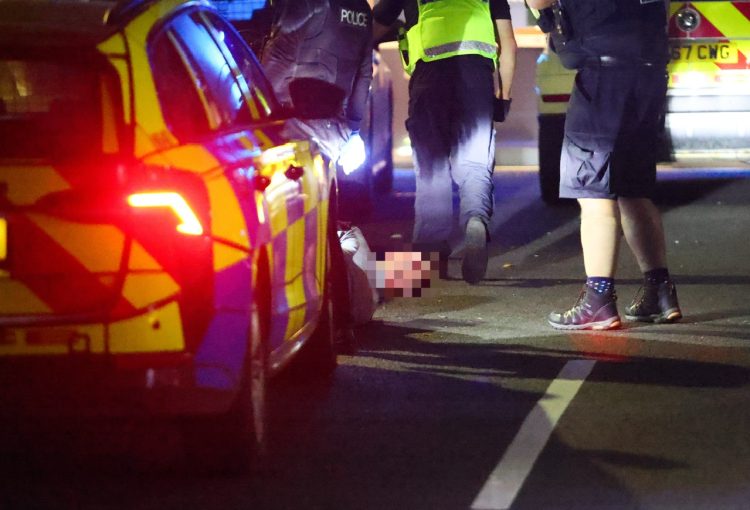 POLICE USE SPRAY TO SUBDUE SUSPECT IN RYDE TRAVELODGE INCIDENT