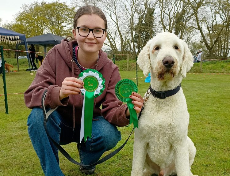 TAILS WILL BE WAGGING AT ABILITY DOGS’S FUN DOG SHOW THIS SUNDAY