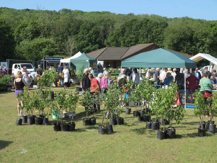 GARDENING GALORE RETURNS TO ROOKLEY NEXT MONTH