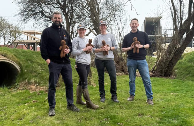 WILDHEART TEAM TO TACKLE ULTRA CHALLENGE TO HELP RESCUE BROWN BEARS