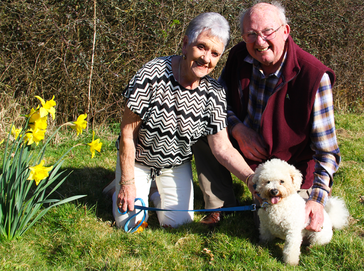 BICHON FRISÉ TED BECOMES THE FACE OF RSPCA ADOPTION CAMPAIGN