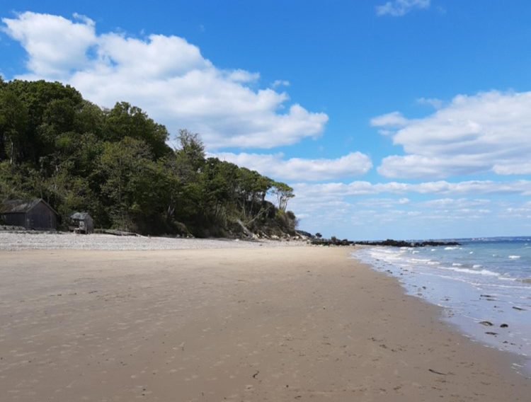 APPEAL LODGED OVER DECISION TO TURN DOWN BOATHOUSE PLAN FOR PRIORY BEACH