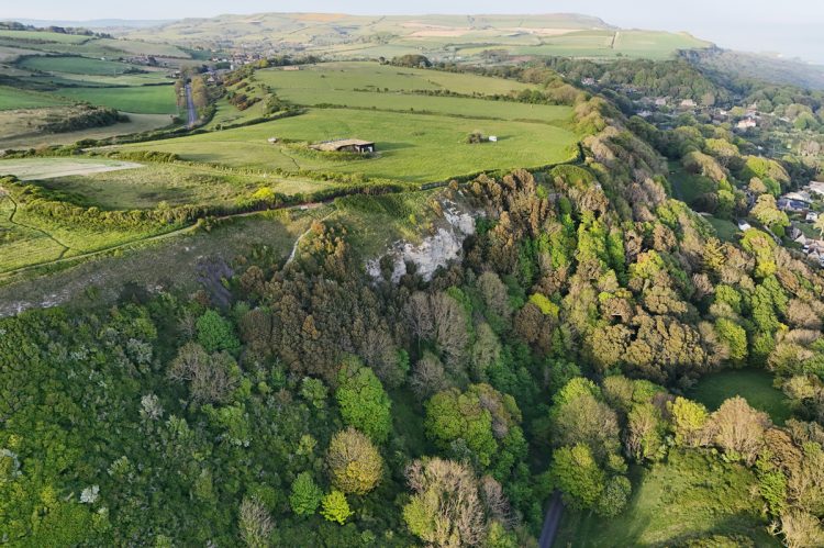 MALE IN PRECARIOUS POSITION ON CLIFF RESCUED NEAR NITON