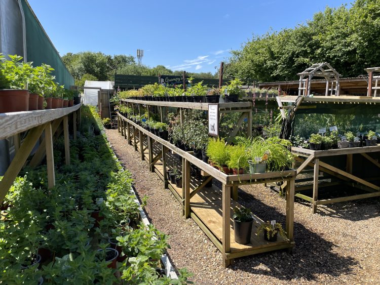 VIDEO: WOOTTON-BASED CARE IN THE GARDEN GIVES BACK WITH NEW DISCOUNT INITIATIVE