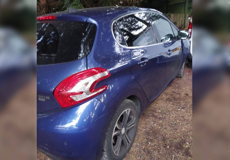 PEUGEOT DRIVER ARRESTED AFTER FAIL TO STOP AND FOOTCHASE IN SHANKLIN