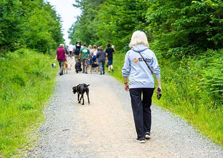 THE BIG SOCIAL MEET TO MARK 100TH EVENT WITH COMMUNITY DOG WALK THIS SUNDAY