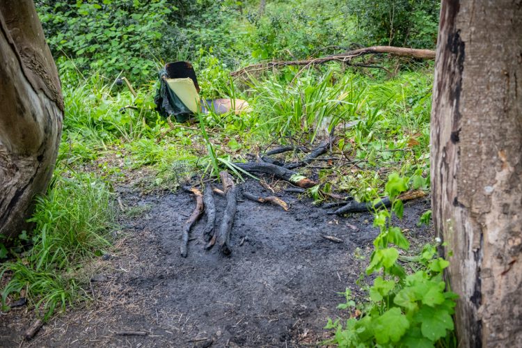 YOUTHS SUSPECTED TO BE BEHIND FIRE IN THE WOODS ON EAST COWES SEAFRONT