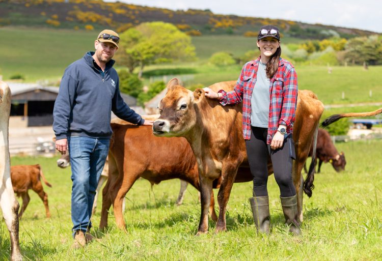 WARREN FARM BUCKS ISLE OF WIGHT TREND WITH DAIRY COMEBACK