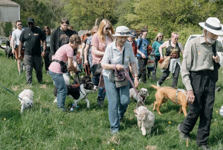 WALKIES! CHARITY DOG WALK DECLARED A PAWSOME SUCCESS