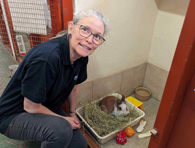 RSPCA ISLE OF WIGHT BRANCH CELEBRATES DEDICATED VOLUNTEERS DURING NATIONAL VOLUNTEERS WEEK