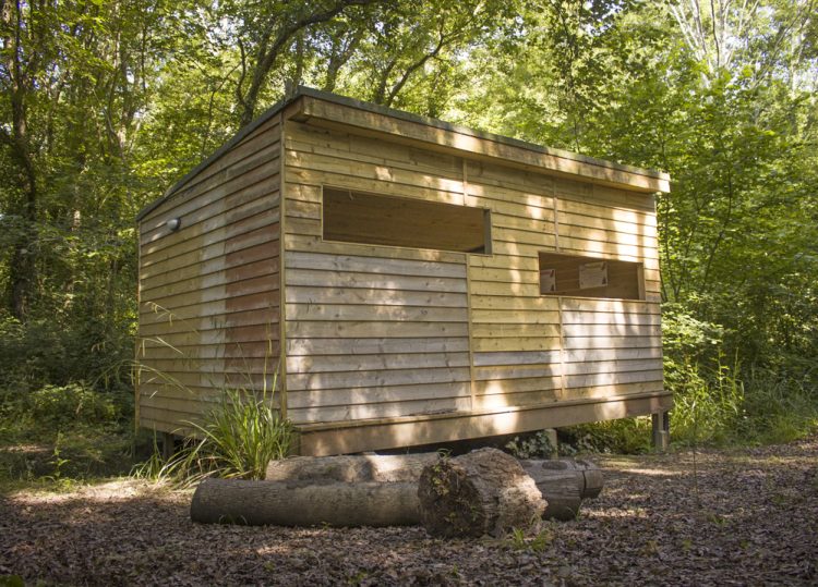 NEW SQUIRREL HIDE UNVEILED AT ISLE OF WIGHT STEAM RAILWAY