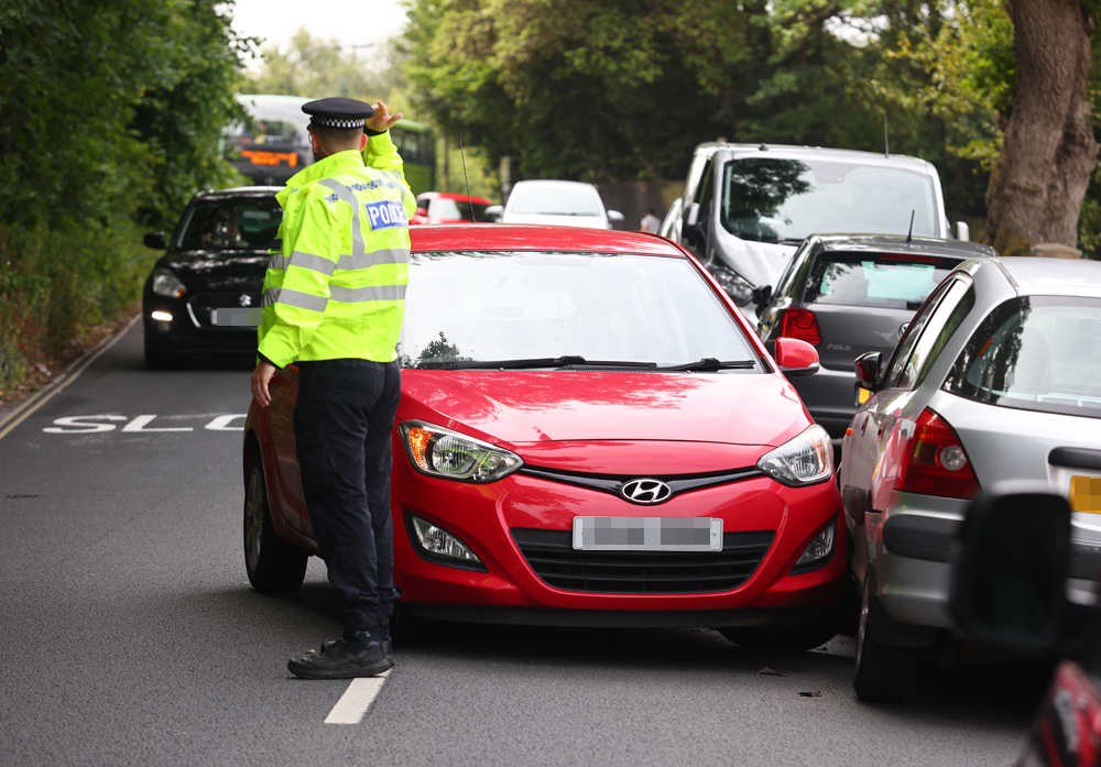 DRIVER, DOG AND PASSENGER ESCAPE INJURY IN RYDE CAR COLLISION