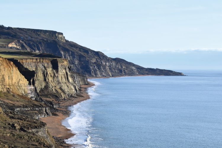CROWDFUNDING LAUNCHED FOR NEW ISLE OF WIGHT GEOLOGY AND FOSSIL FIELD GUIDE